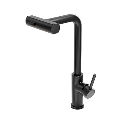 Black Kitchen Faucets